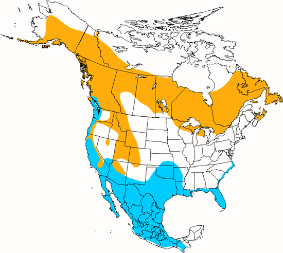 bird range map