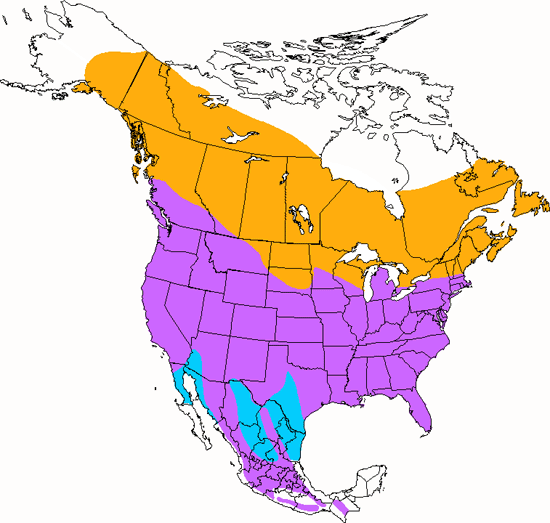 bird range map