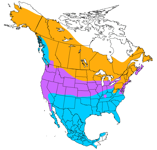 bird range map