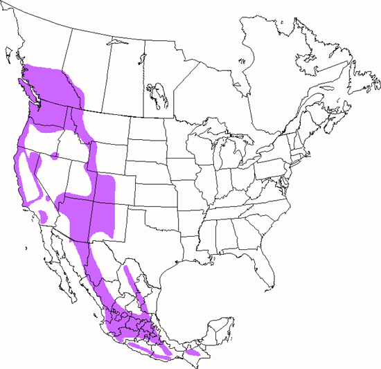 bird range map