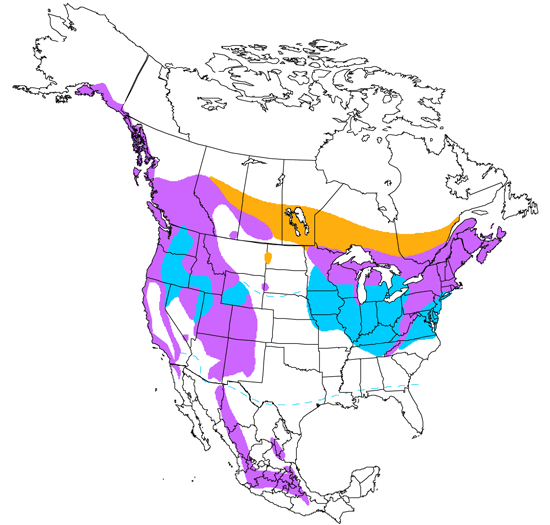 bird range map