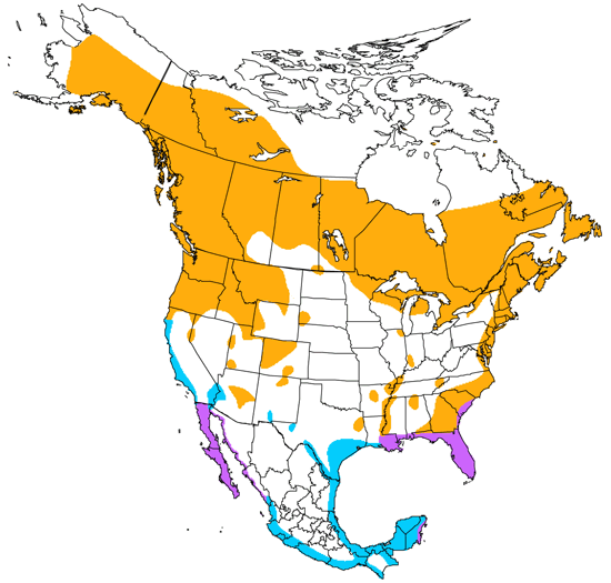 bird range map