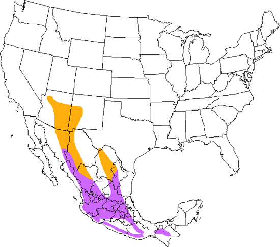 bird range map