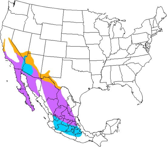 bird range map