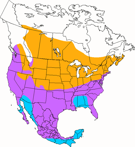 bird range map