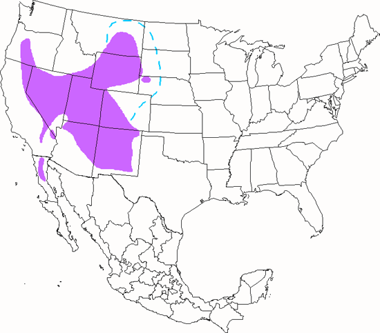 bird range map