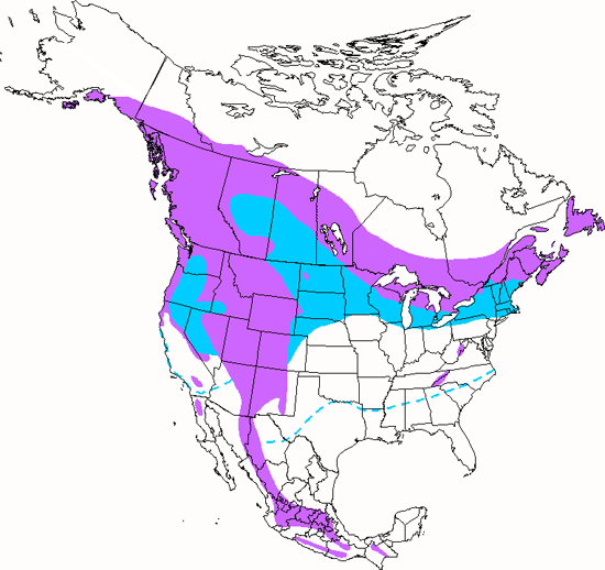 bird range map