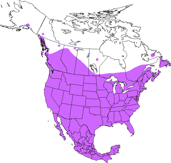 bird range map