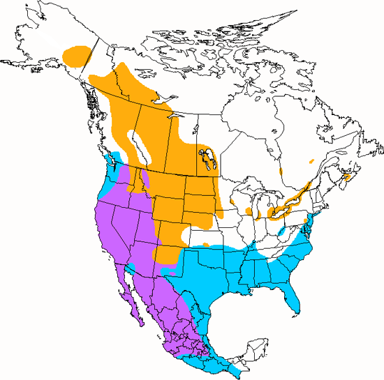 bird range map