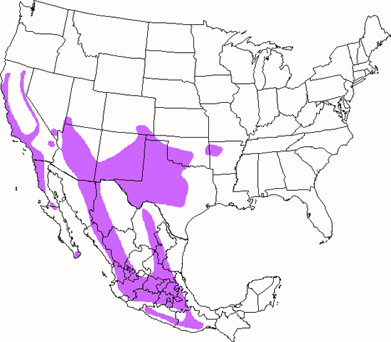 bird range map