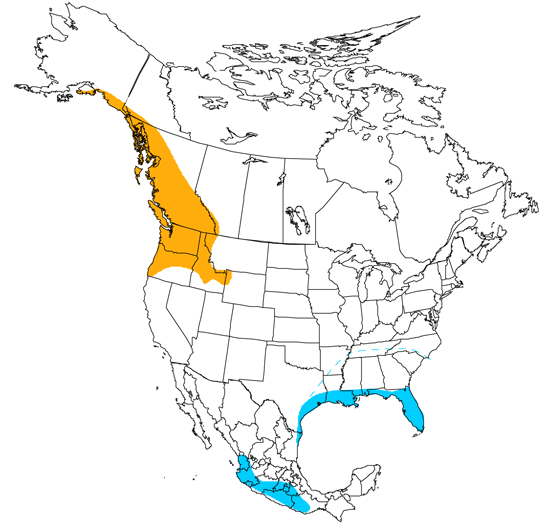 bird range map