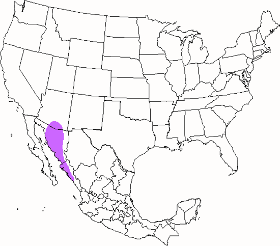 bird range map