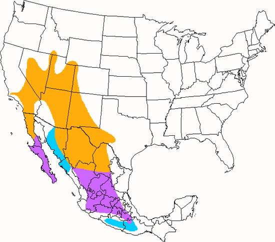 bird range map