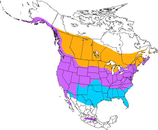 bird range map