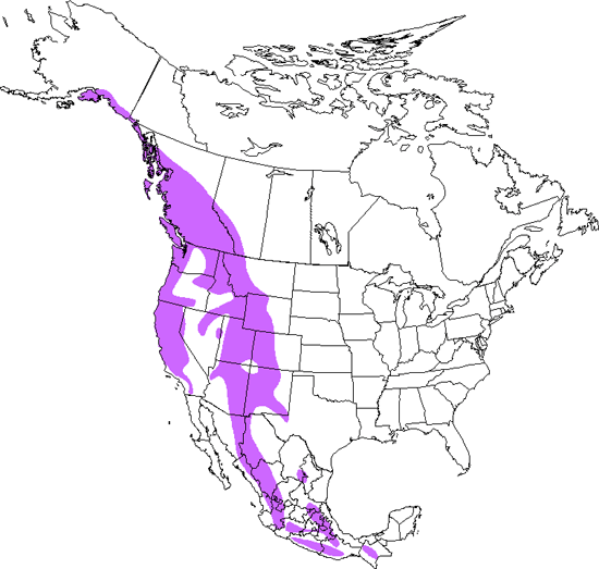 bird range map