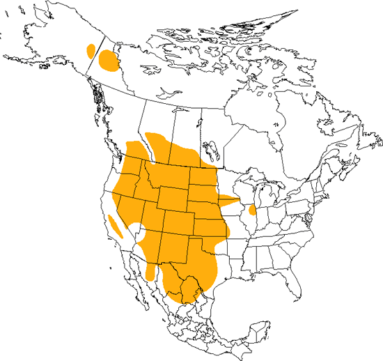 bird range map