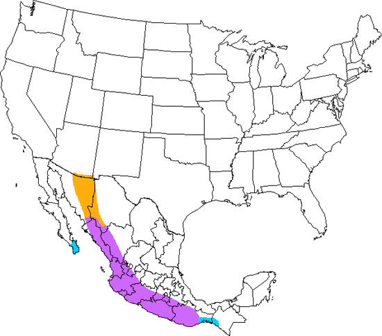 bird range map