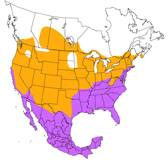 bird range map