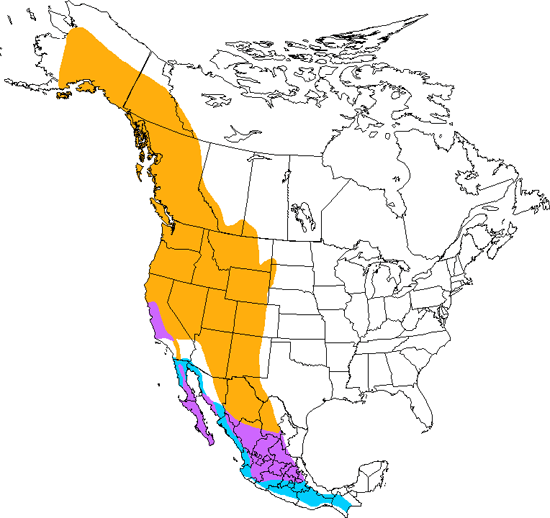 bird range map