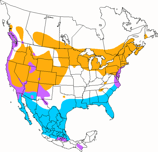 bird range map