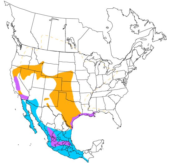 bird range map