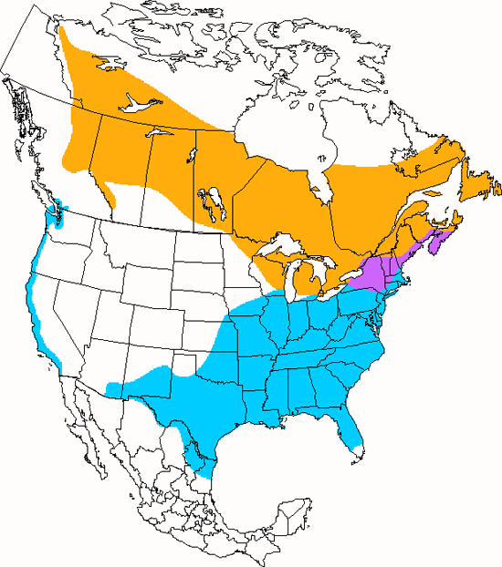 bird range map