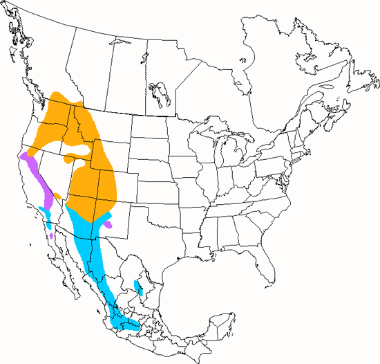 bird range map