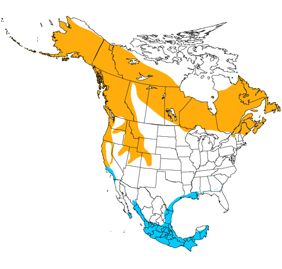 bird range map