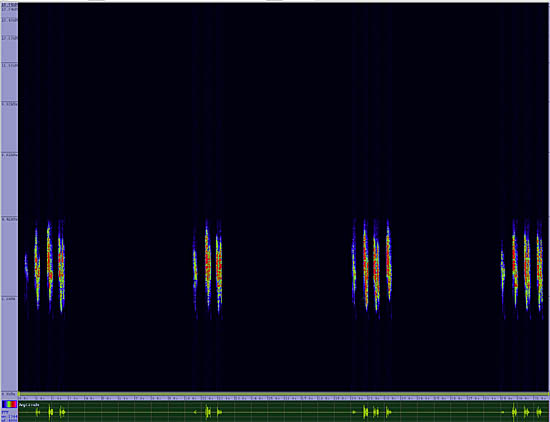 bird sonogram