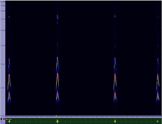 bird sonogram