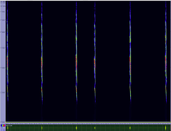 bird sonogram