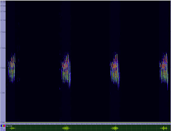 bird sonogram