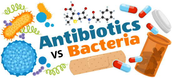 Antibiotics vs. bacteria illustration