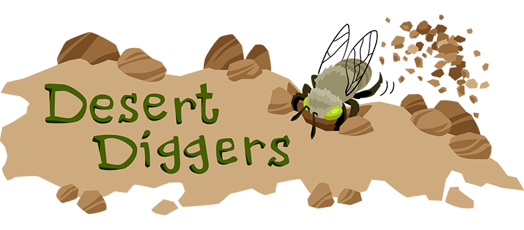 Desert Digger Bees