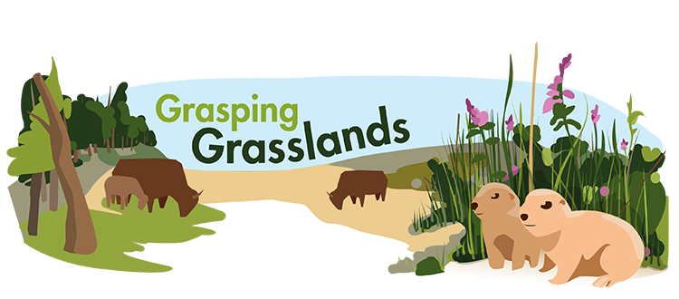 Grassland Biome