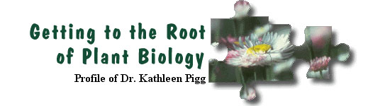 Getting to the Root of Plant Biology