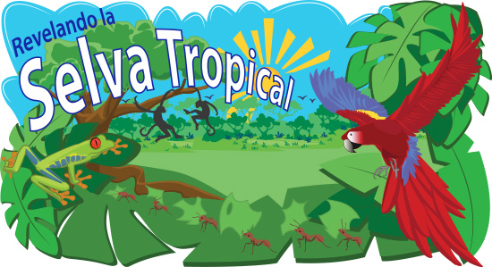 Revelando la Selva Tropical