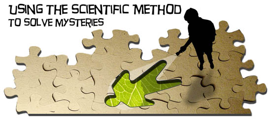 Using the Scientific Method to Solve Mysteries