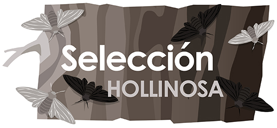 Seleccion hollinosa