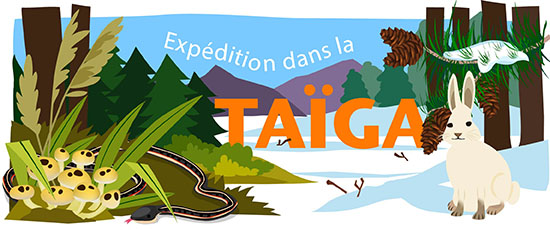 Expédition dans la Taïga