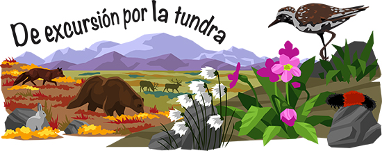 De excursión por la tundra