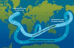 Ocean circulation