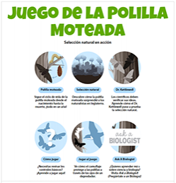 El juego de la polilla moteada