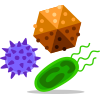 Microbes