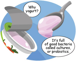 yogurt