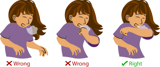 correct way to sneeze