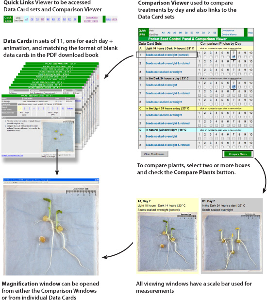 Experiment Overview