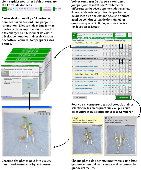 Experiment Overview