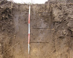 Soil profile