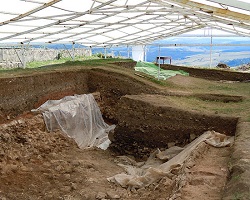 Archaeological dig